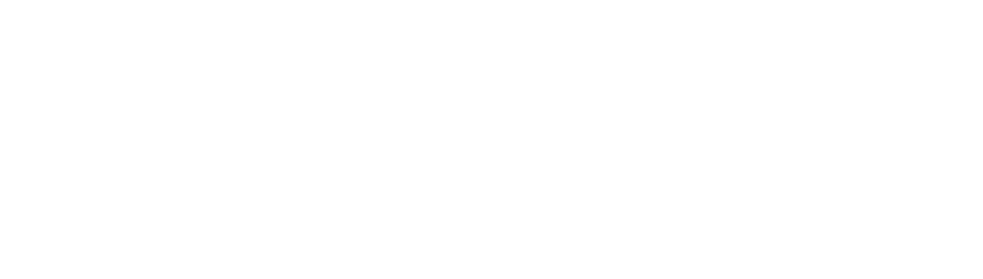 dm painting and decorating logo upscaled white